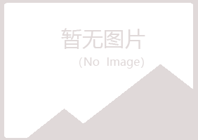 铁岭惜雪咨询有限公司